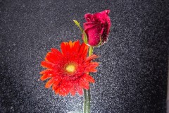 Commercial-Products-41
