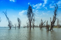 Landscape-Nature-Photography-33