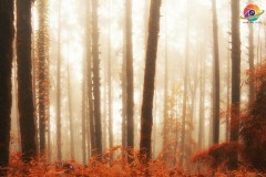 Landscape-Nature-Photography-34
