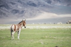 Landscape-Nature-Photography-38