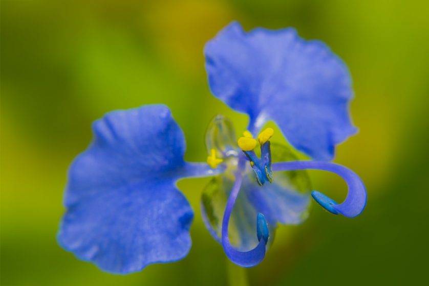 Photography for a Cause Masterpics.in Photographer in Thane