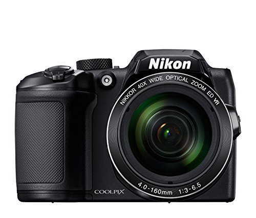 how to choose your first camera Nikon camera
