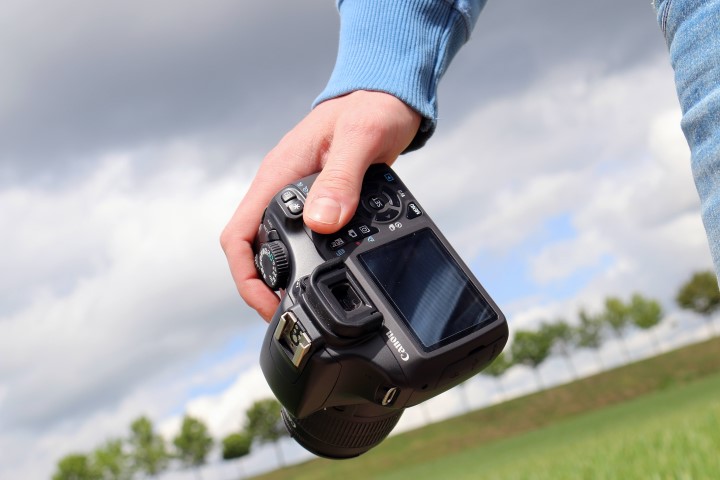 Photography Training Workshop