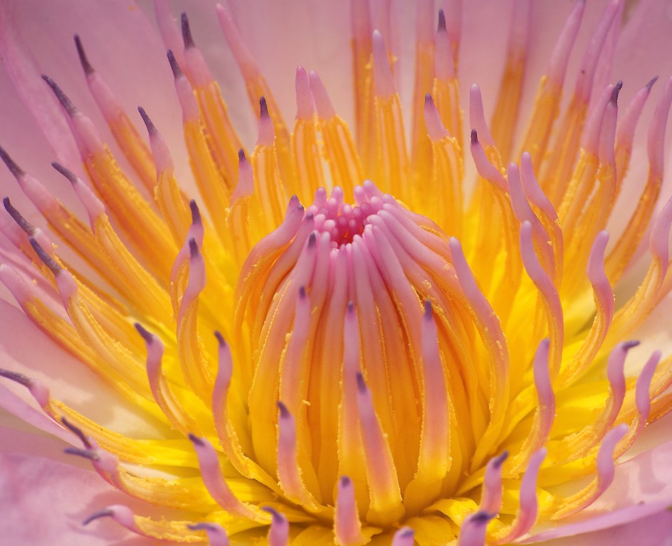 Photography for a Cause Masterpics.in Photographer in Thane