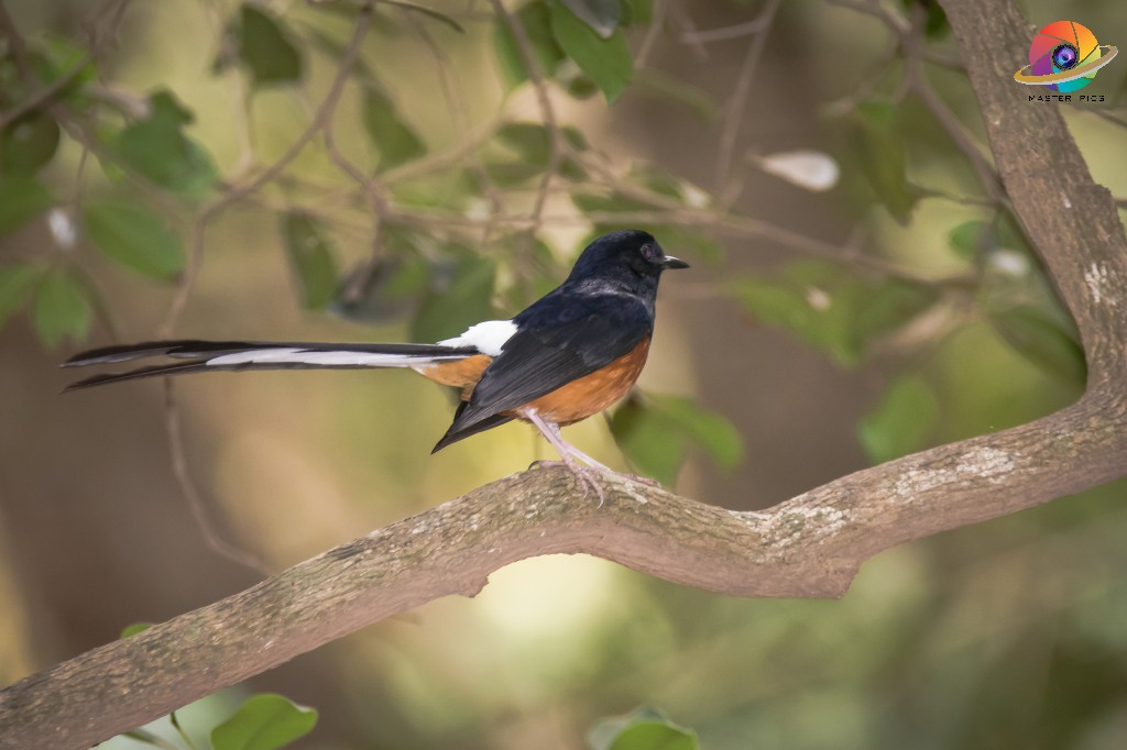 Photography for a Cause Masterpics.in Photographer in Thane