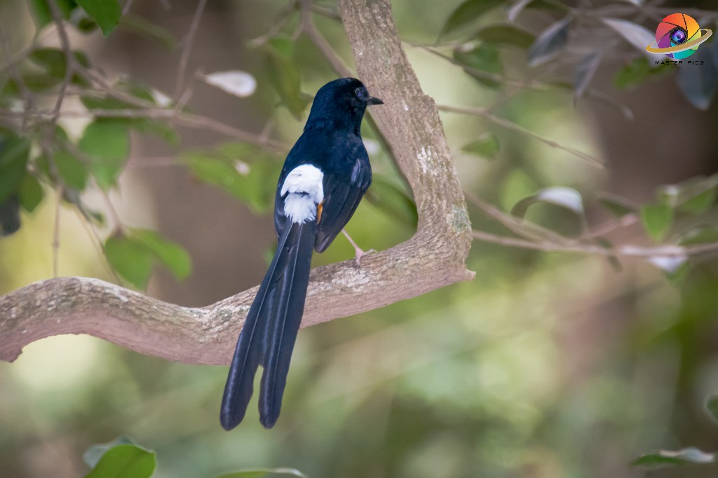 Photography for a Cause Masterpics.in Photographer in Thane